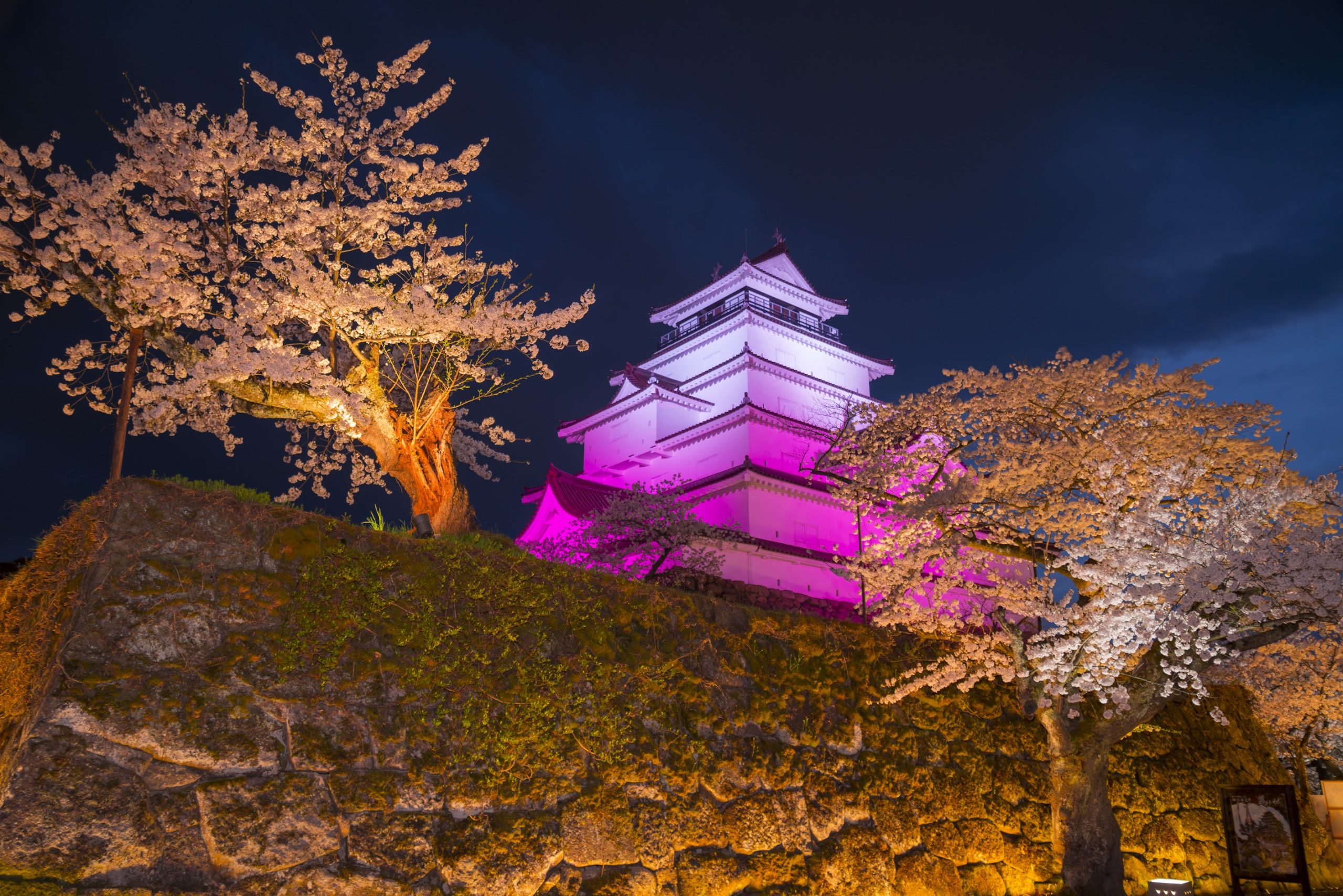 TOUR 5: Fine Dining While Viewing the Cherry Blossoms