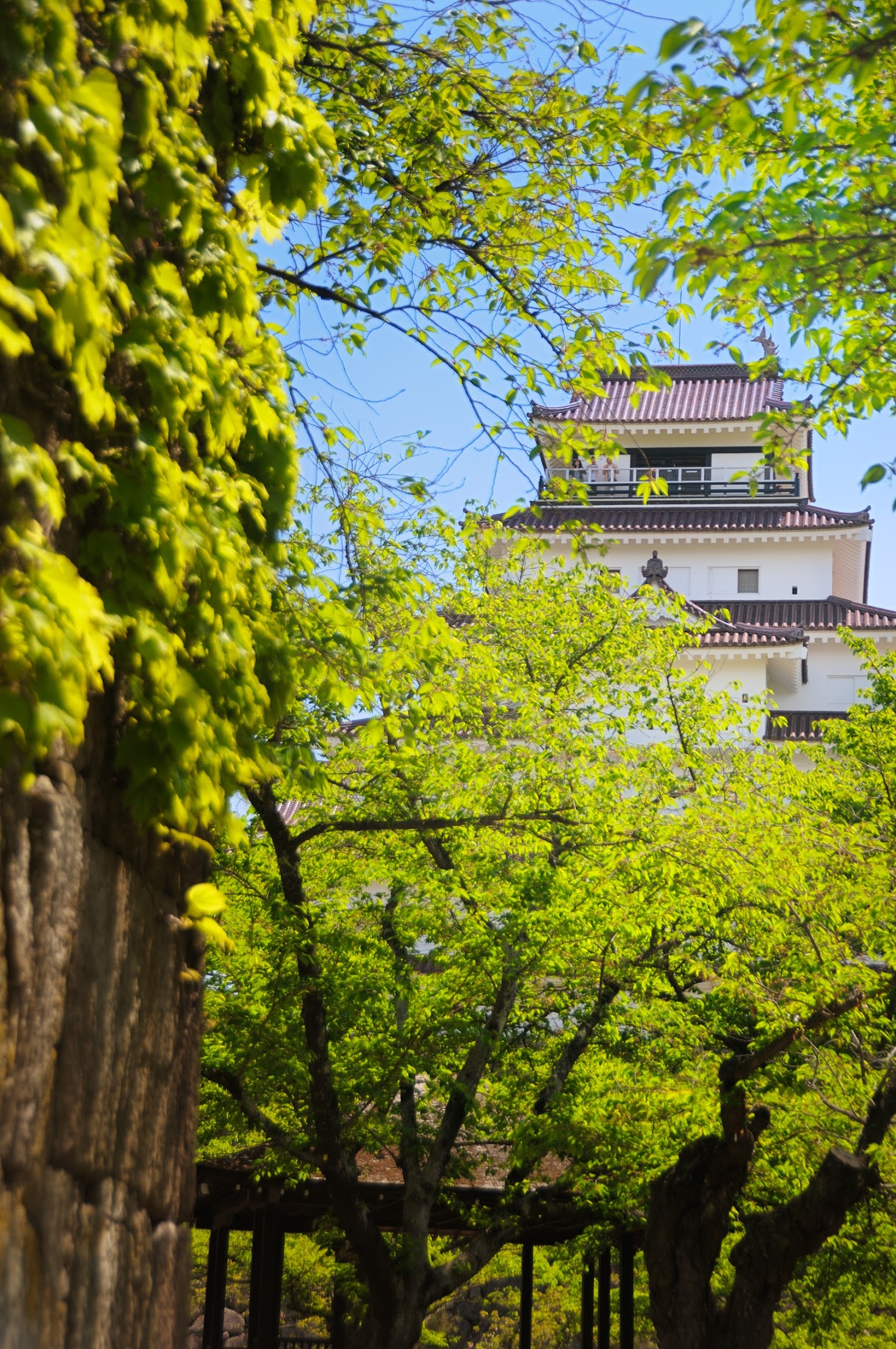 TOUR 6: Tohoku Aizu Explorer